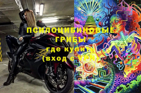 спиды Белокуриха