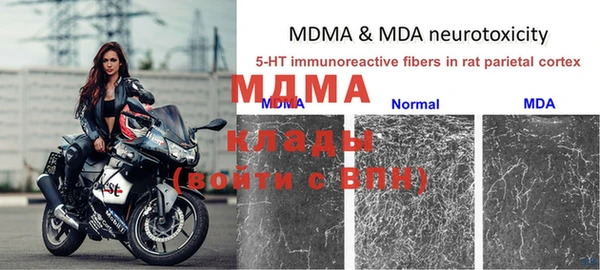 спиды Белокуриха