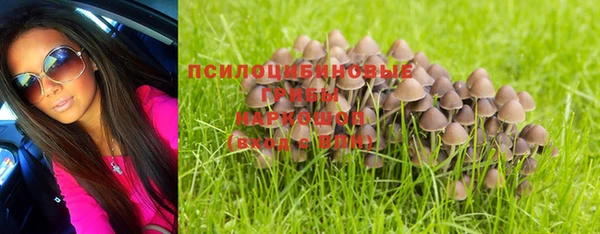 спиды Белокуриха