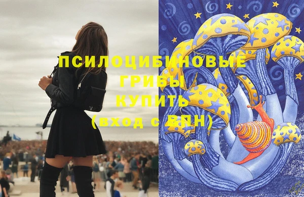 спиды Белокуриха